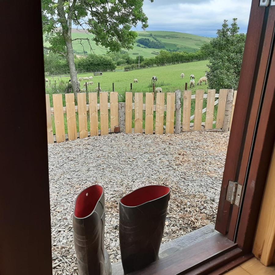 Foxglove Accommodation 크래븐 암즈 외부 사진