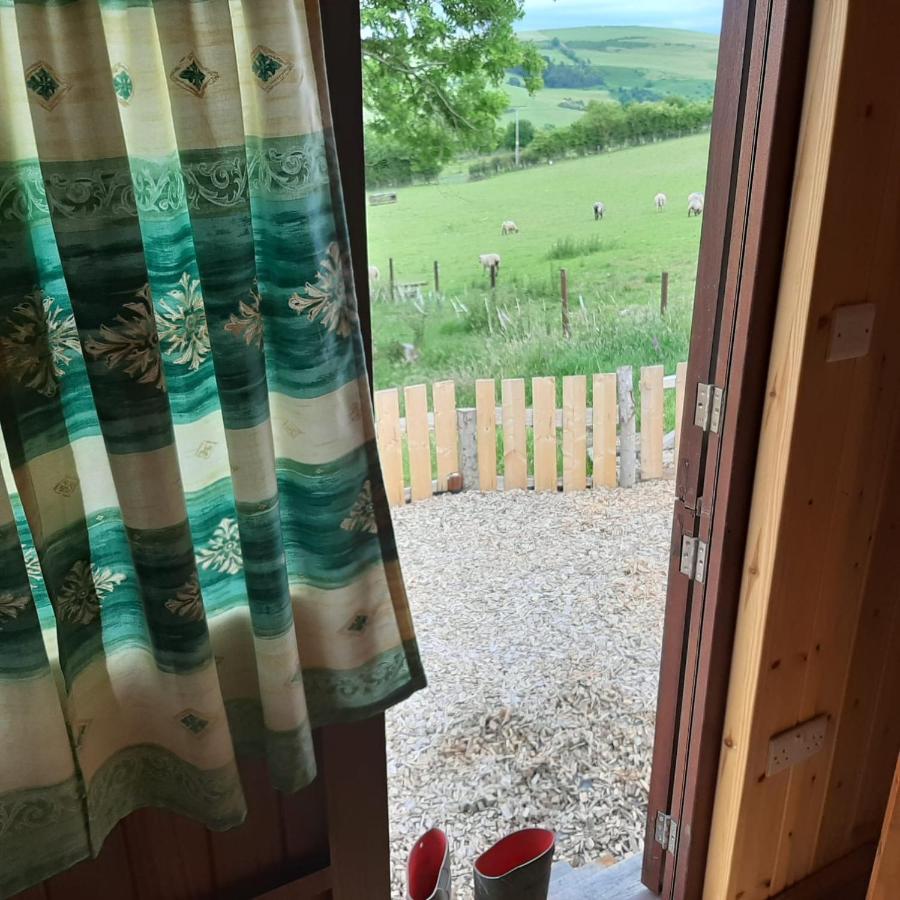 Foxglove Accommodation 크래븐 암즈 외부 사진