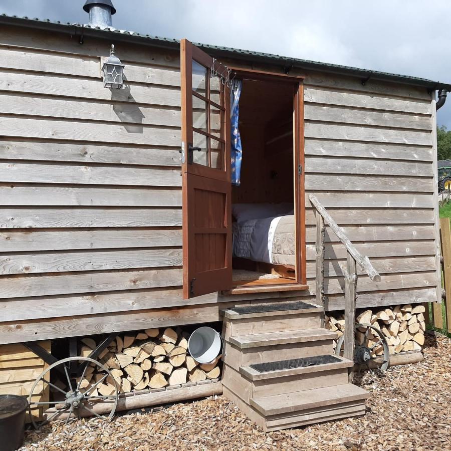 Foxglove Accommodation 크래븐 암즈 외부 사진